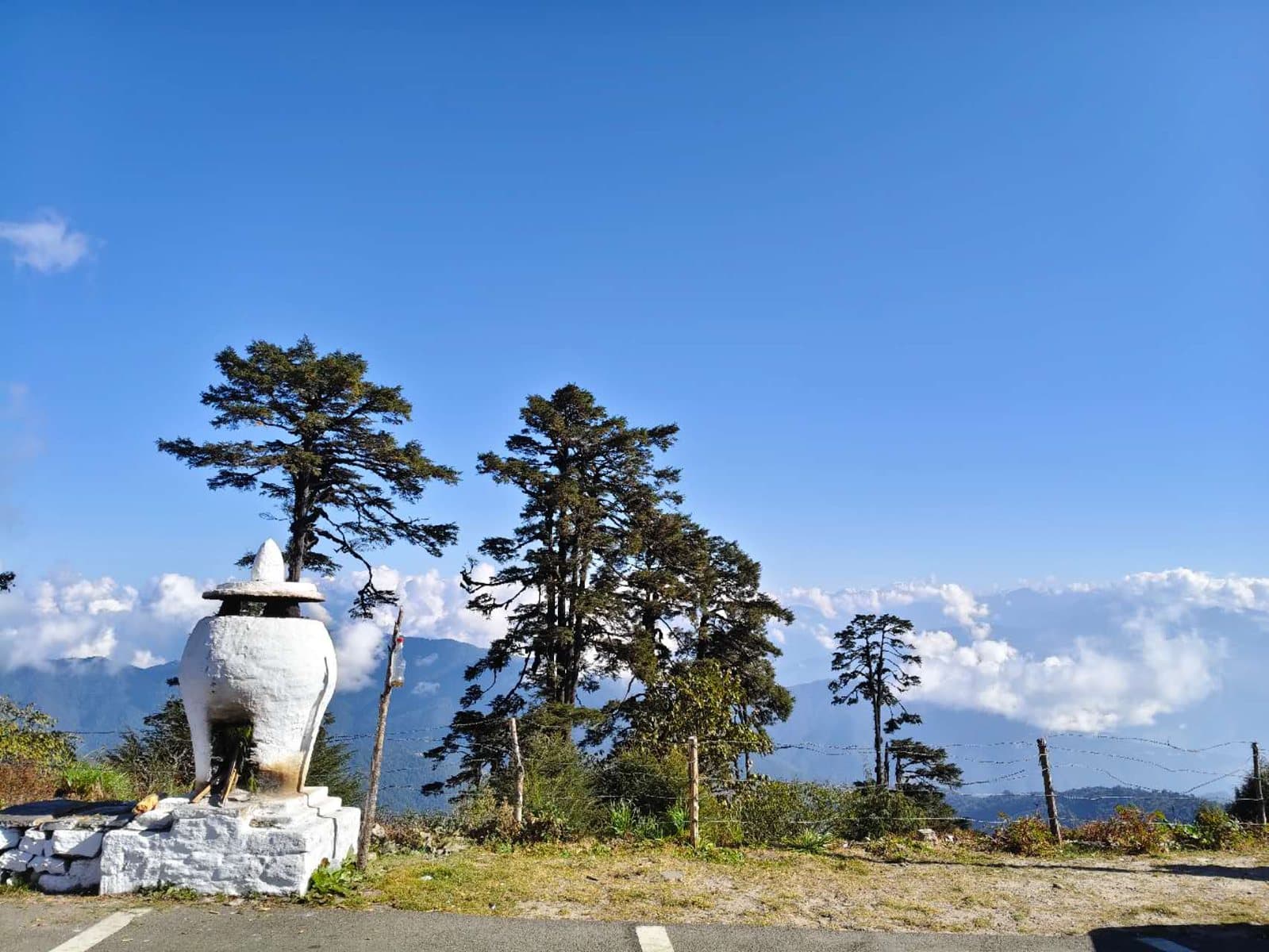팀푸 · 도출라 · 푸나카